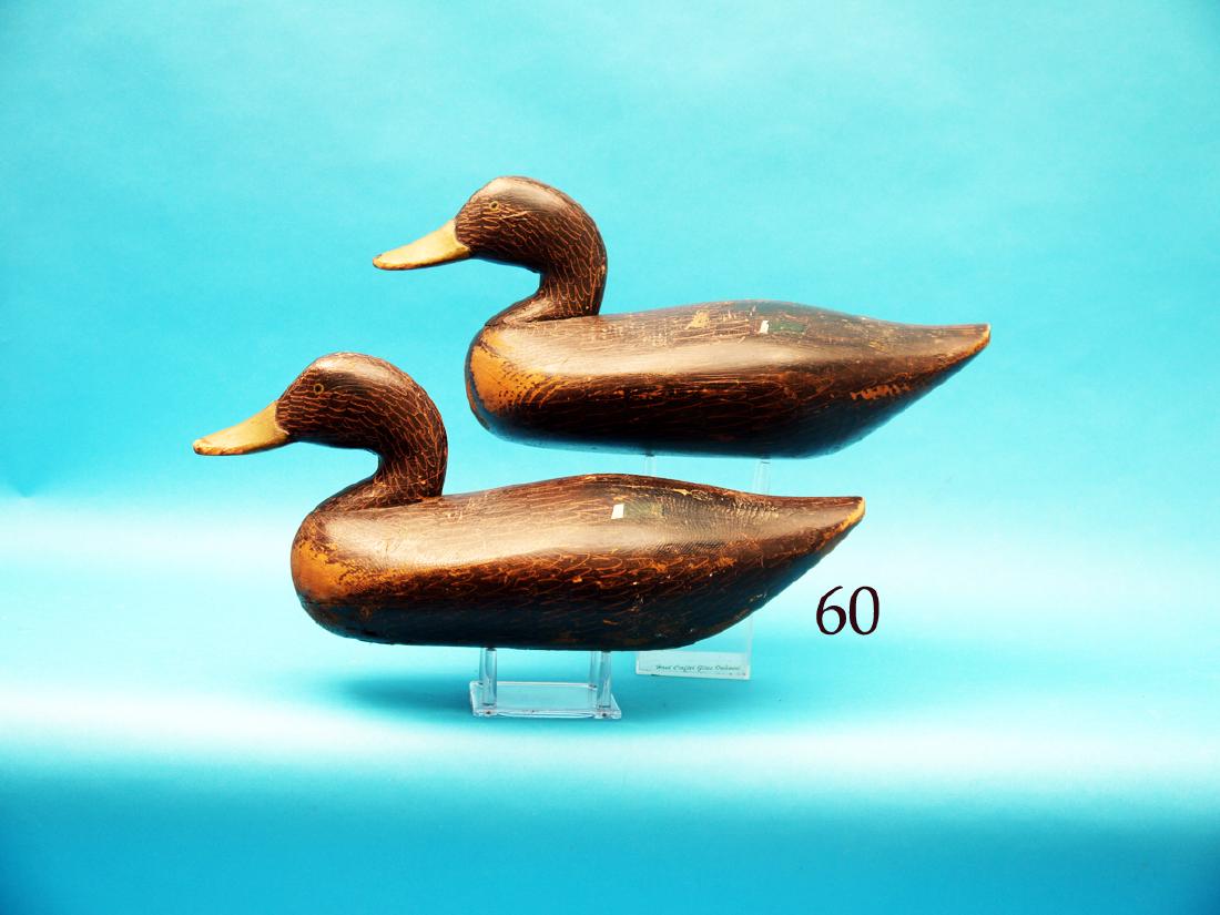 NICE EARLY PAIR OF BLACK DUCKS  by Paul Gibson, Havre (1 of 1)