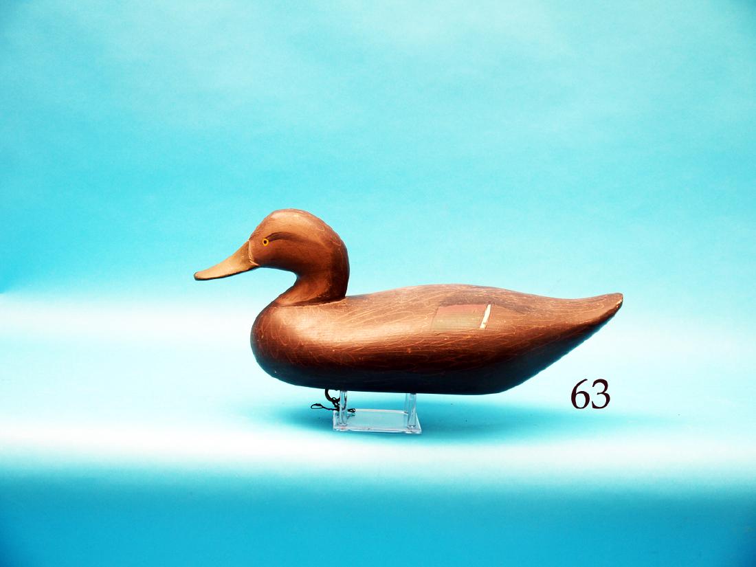 FINE BLACK DUCK by R. Madison  Mitchell, Havre de (1 of 1)