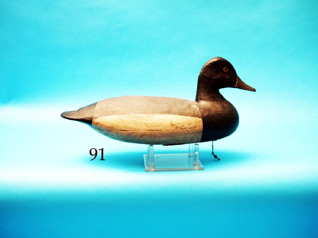 BLUEBILL DRAKE, possibly Chincoteague,  VA. Very good (1 of 1)