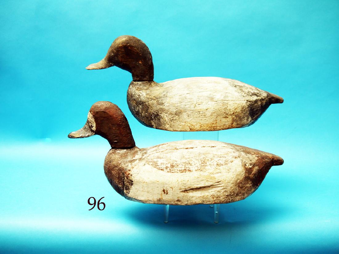 PAIR OF BLUEBILLS attributed to Lloyd  Tyler, (1 of 1)