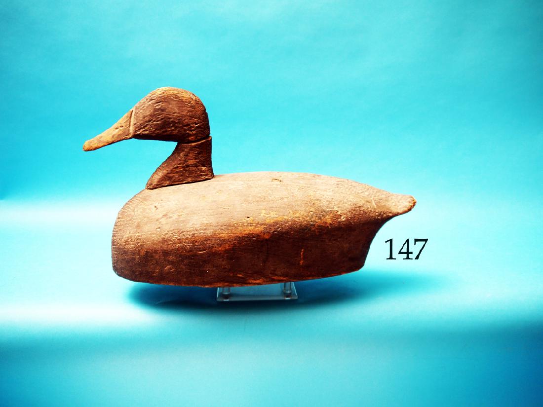 EARLY NORTH CAROLINA BLACK  DUCK. Oversized model in (1 of 1)