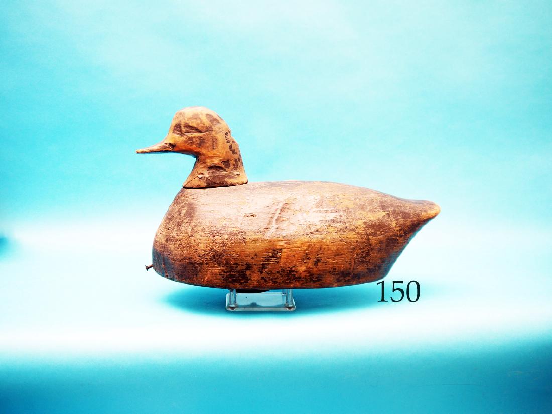 NICE EARLY REDHEAD DRAKE by  Stant White, Churches (1 of 1)