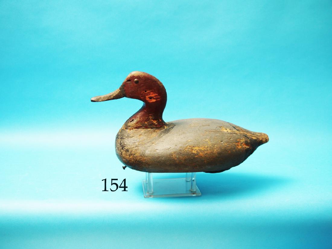 VERY EARLY REDHEAD DRAKE by  Malichi Waterfield (1 of 1)