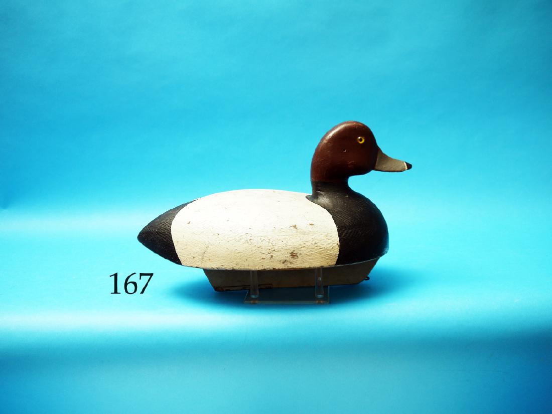 REDHEAD DRAKE, probably Wisconsin,  circa 1940, in (1 of 1)