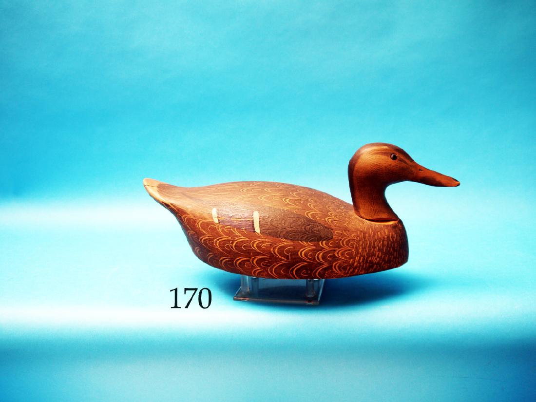 VERY FINE BLACK DUCK by Ken  Harris, Woodville, NY. (1 of 1)