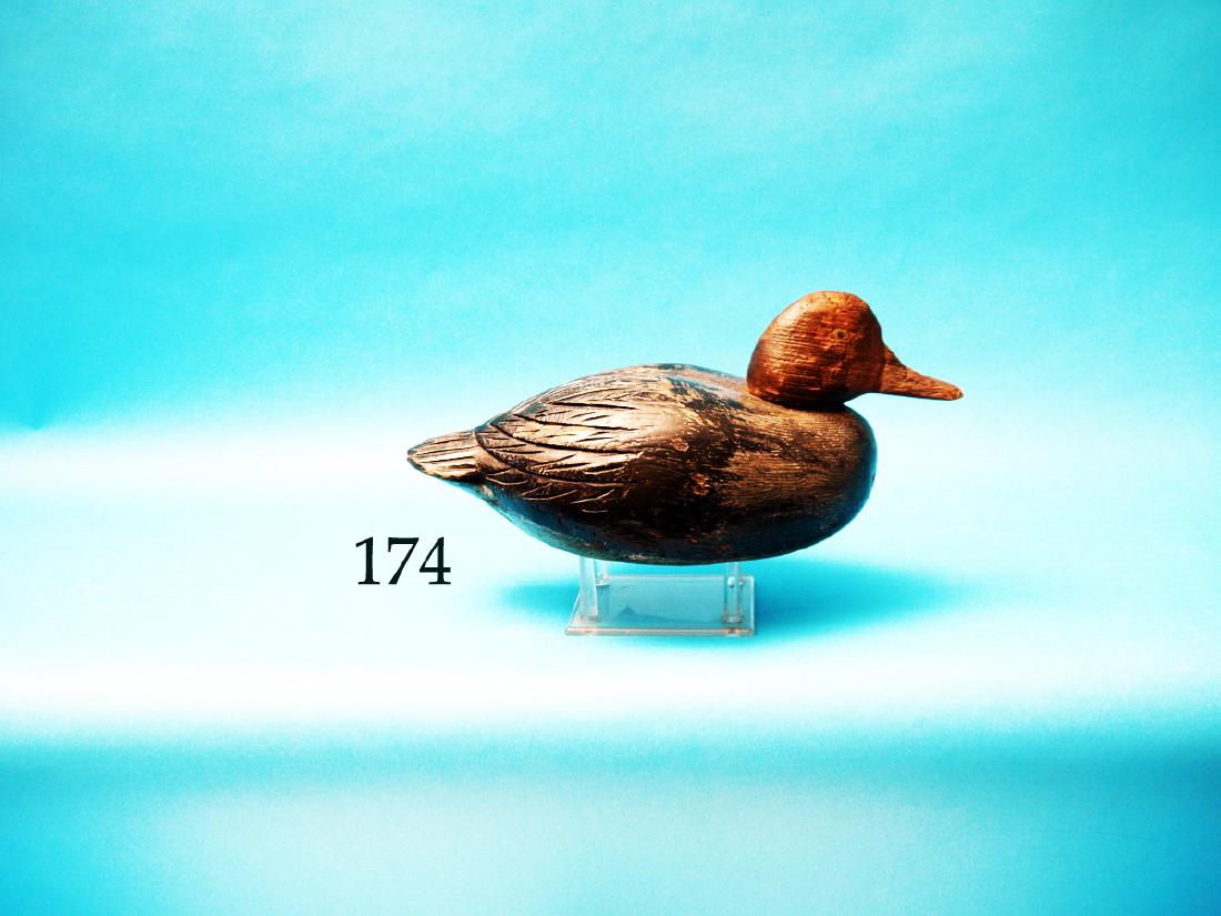 REDHEAD DRAKE by H. Thibent,  Valleyfield, Que., (1 of 1)