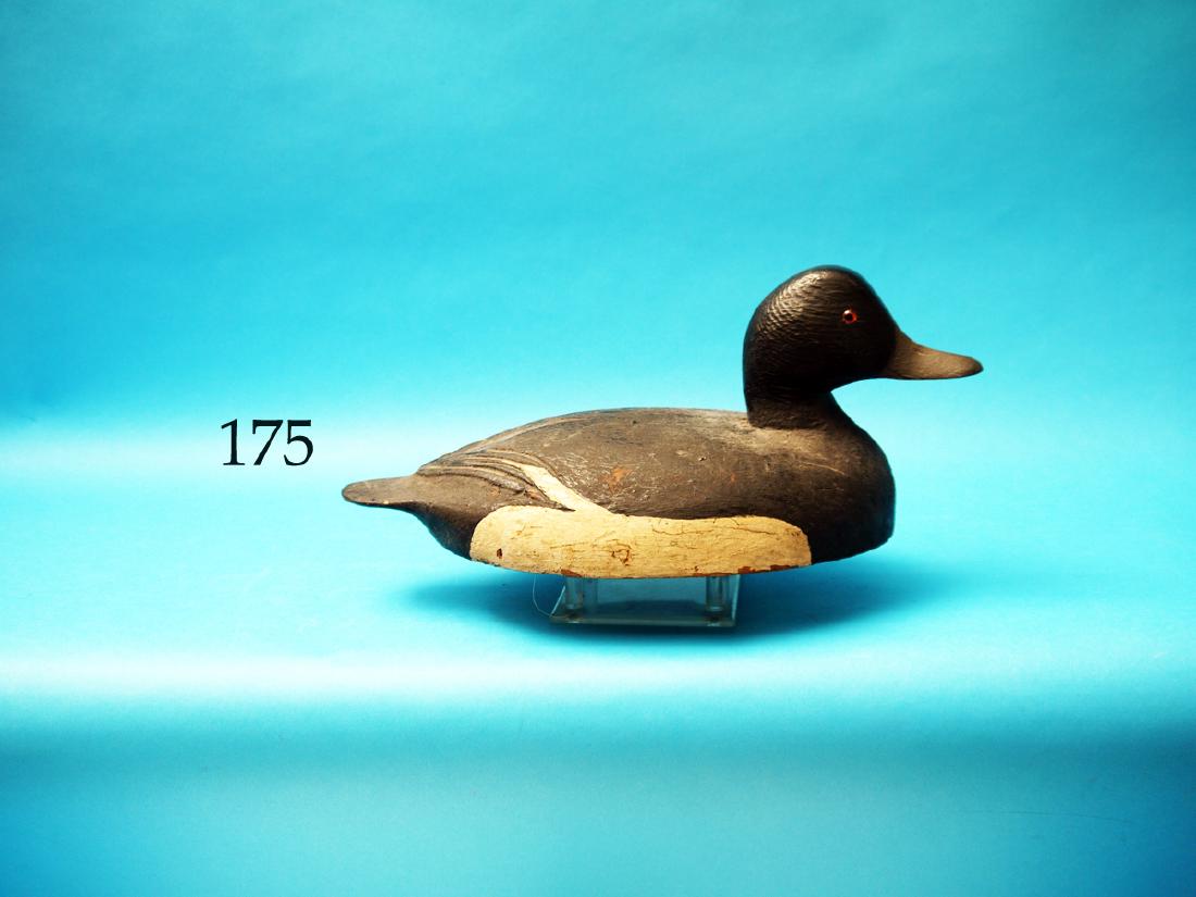 RARE BLUEBILL DRAKE by Ben  Schmidt, Detroit, MI, circa (1 of 1)