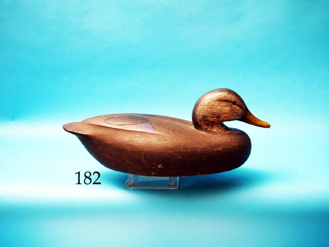 VERY FINE BLACK DUCK by Ken  Anger, Dunnville, Ont. (1 of 1)