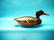 MALLARD DRAKE by Billy Ellis, Whitby, Ont. Very good