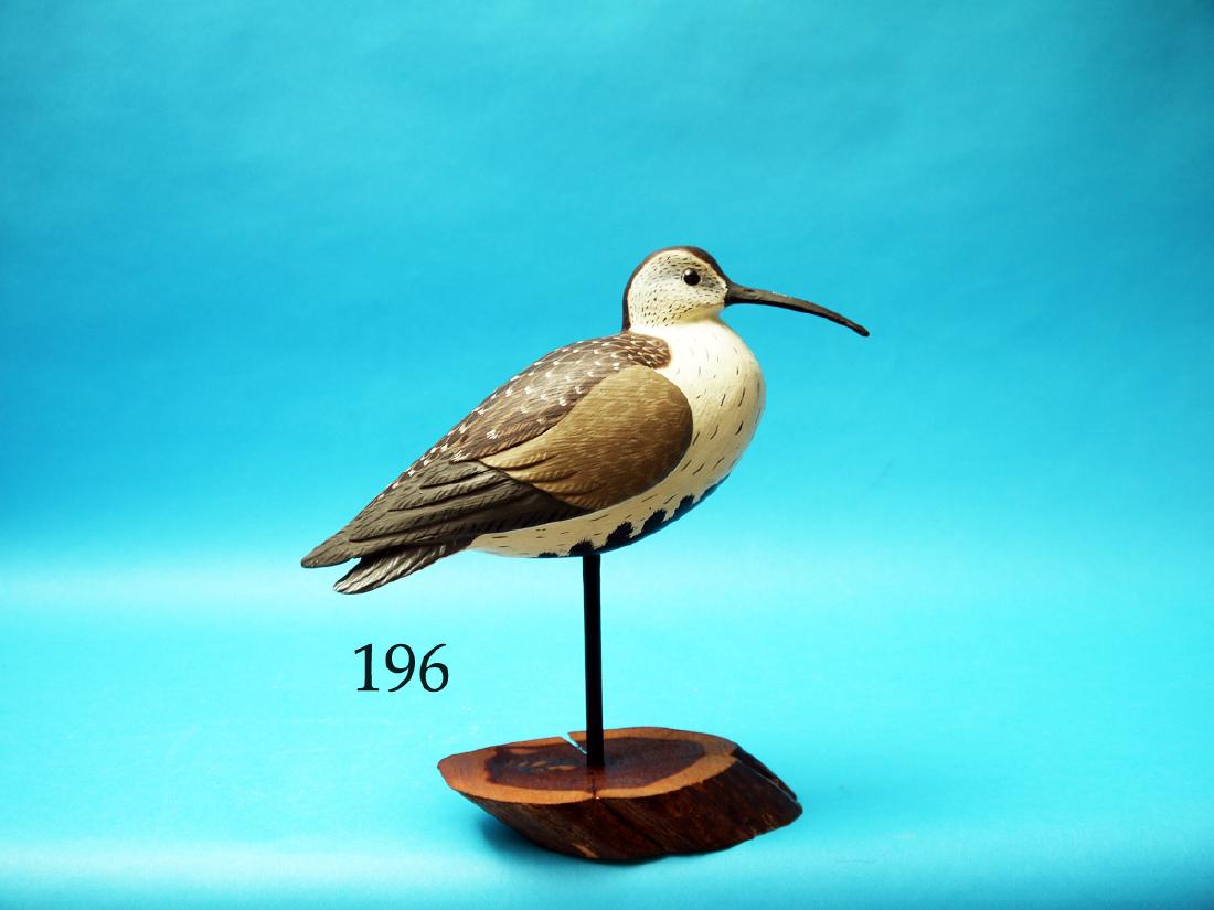 DUNLIN by Ronald Sabatini, Levittown,  PA. Oversized (1 of 1)