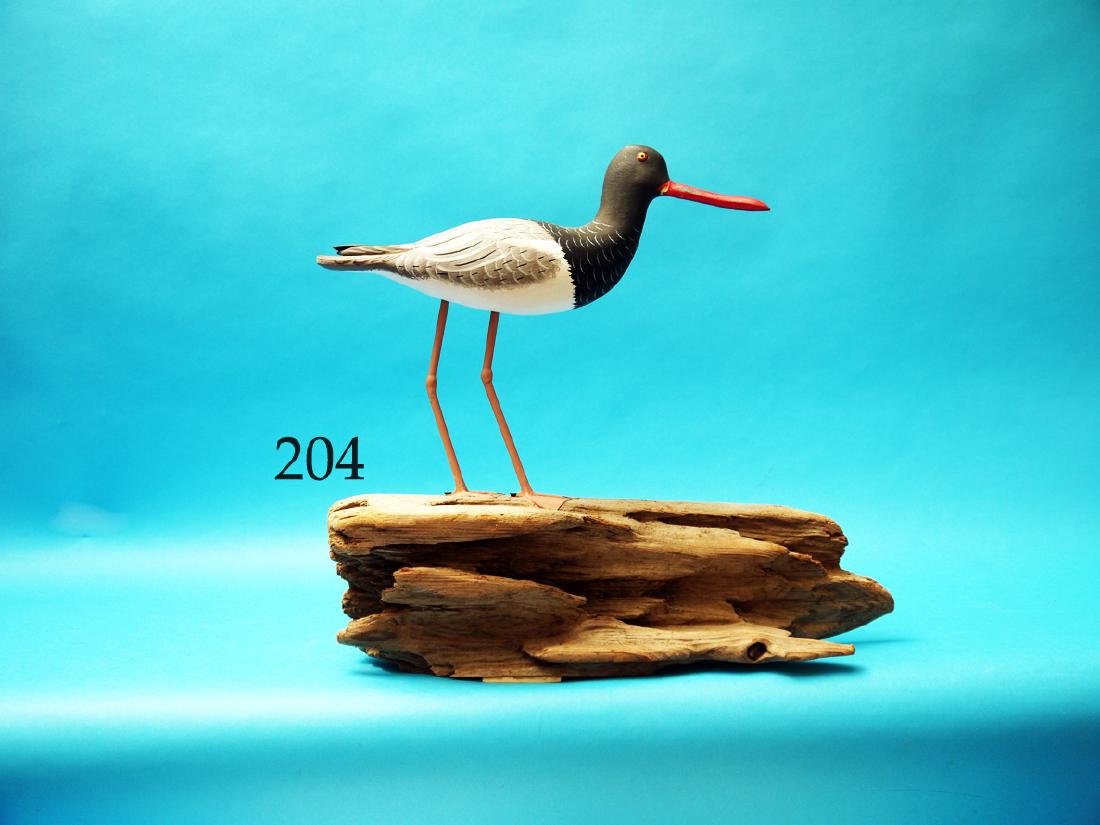 FINE OYSTER CATCHER by John and  Patty Waterfield, (1 of 1)