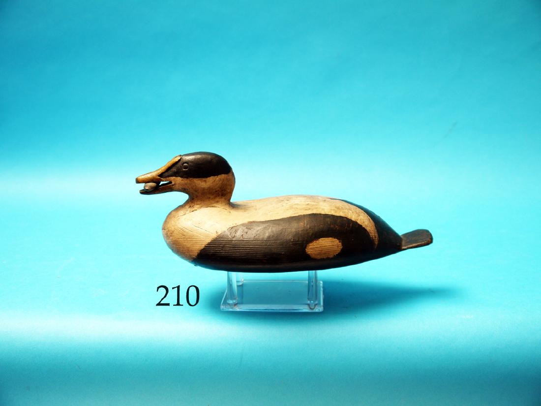 ONE-THIRD SIZE EIDER by Bob Biddle,  Media, PA. (1 of 1)