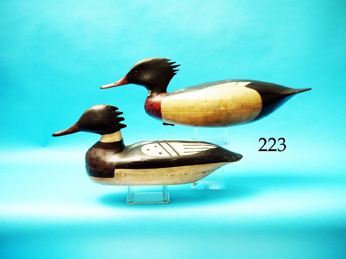 TWO RED-BREASTED MERGANSERS.  The first is by John (1 of 1)