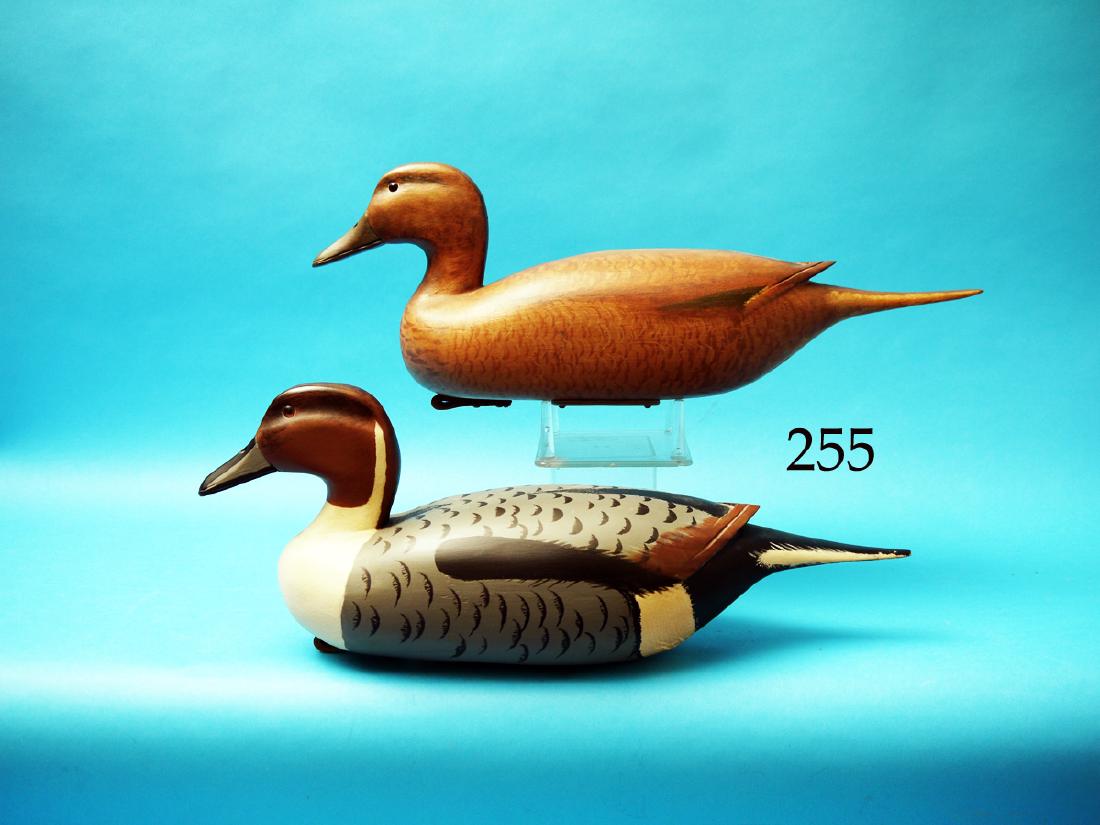 VERY FINE PAIR OF PINTAILS by  Nick Sacchi, Bristol, (1 of 1)