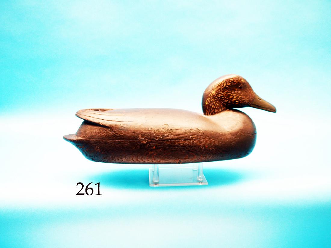 EARLY BLACK DUCK by Joe West, Bordentown, NJ. Old: EARLY BLACK DUCK by Joe West, Bordentown, NJ. Old gunning paint and very good structural condition. Hollow construction. Raised wing tips. Weight stamped PETER ROBOY, BORDENTOWN, NJ. A fine working de