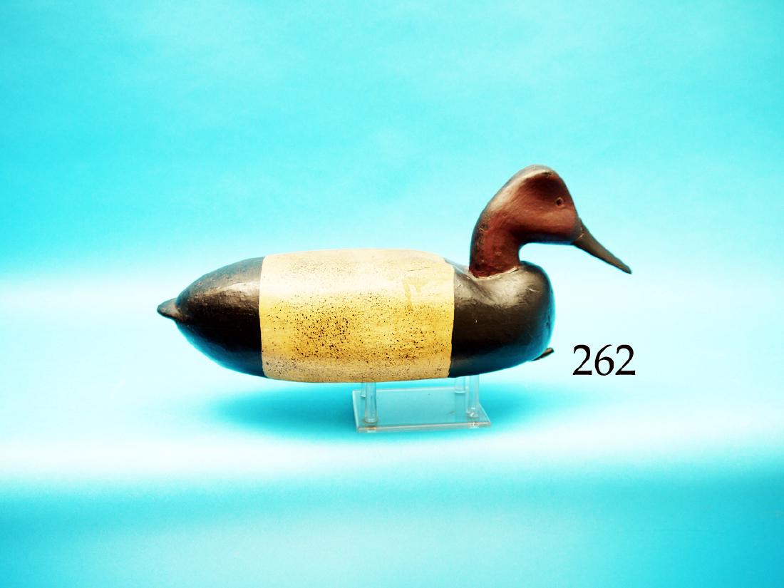 EARLY CANVASBACK DRAKE  by John McLoughlin, Bordentown, (1 of 1)