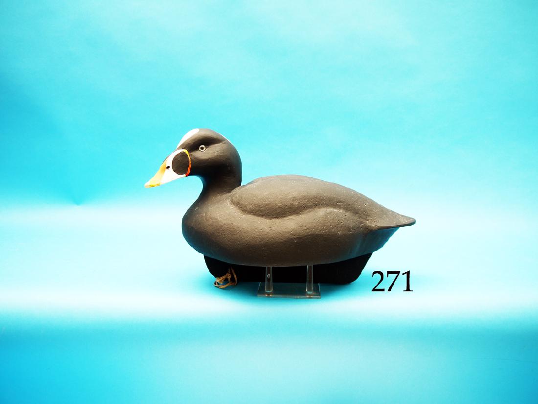 FINE GUNNING SURF SCOTER by  Mike Smyser, Mt. Wolf, PA. (1 of 1)