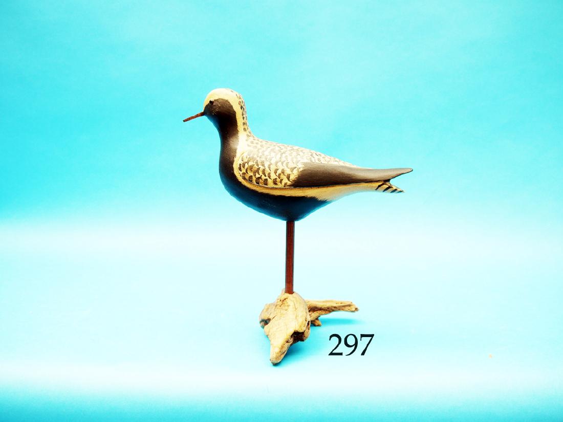 DECORATIVE BLACK BREAST  PLOVER by Ray Schalk. (1 of 1)