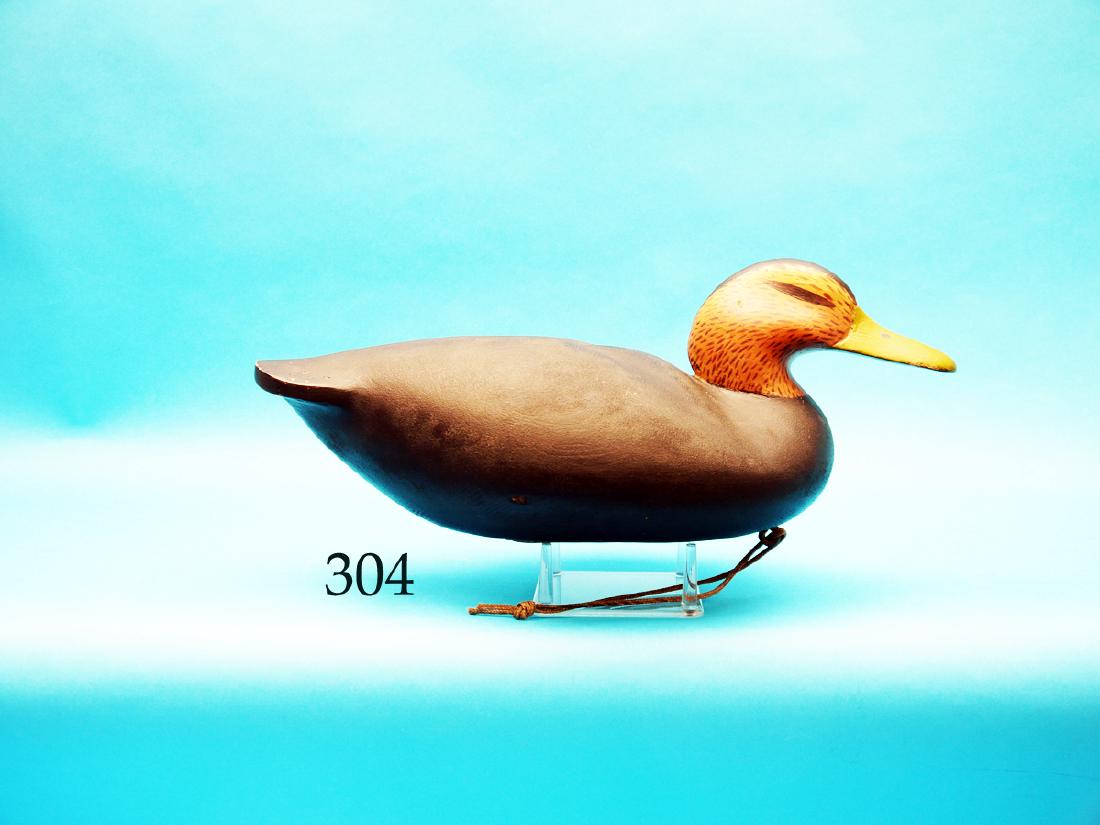 EARLY BLACK DUCK by William Cranmer,  Beach Haven, NJ. (1 of 1)