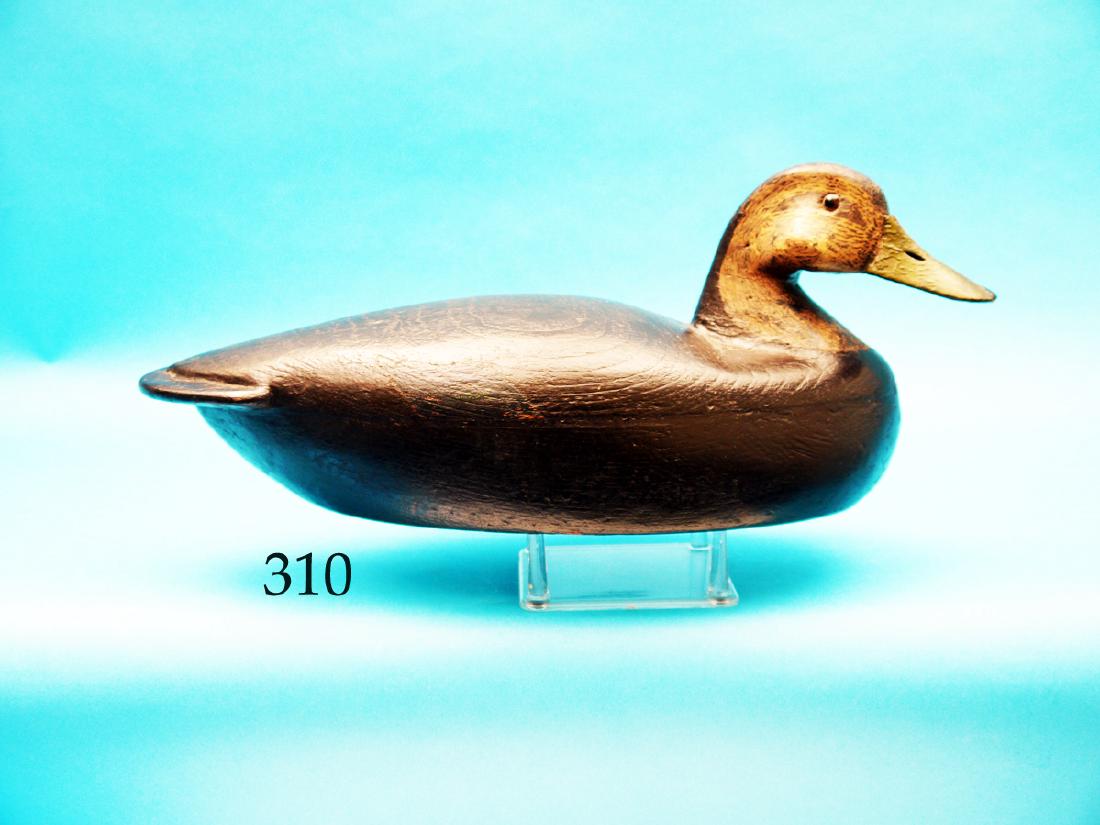 VERY EARLY AND RARE BLACK  DUCK by Walter Bush, Newark, (1 of 1)