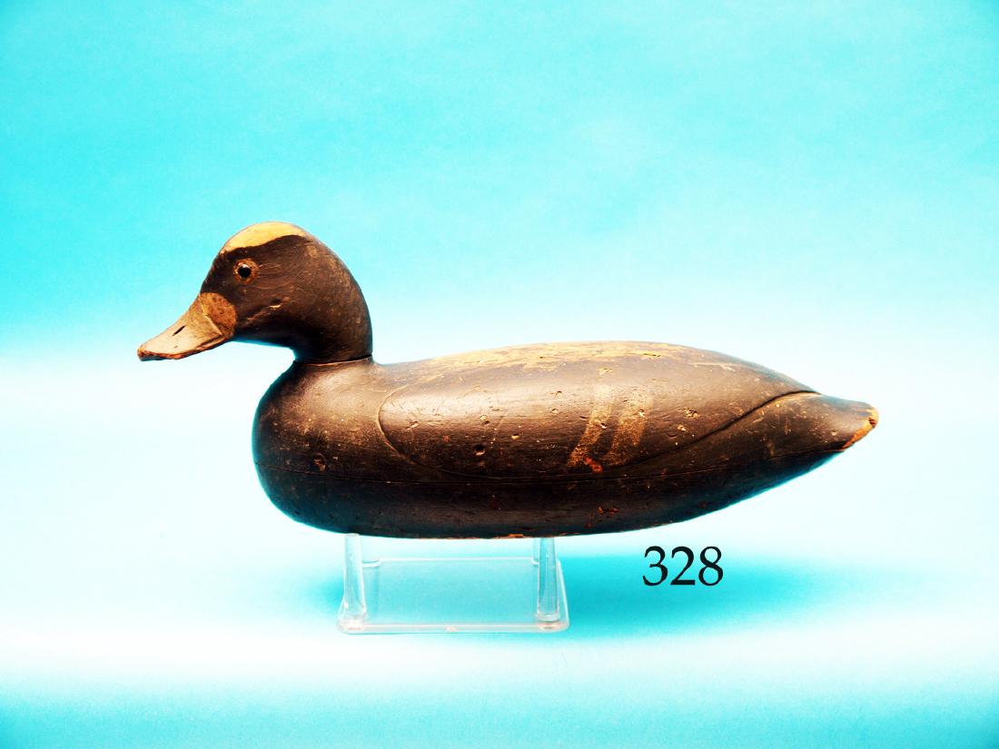 VERY RARE BLUEBILL HEN, possibly  Delaware River area. (1 of 1)