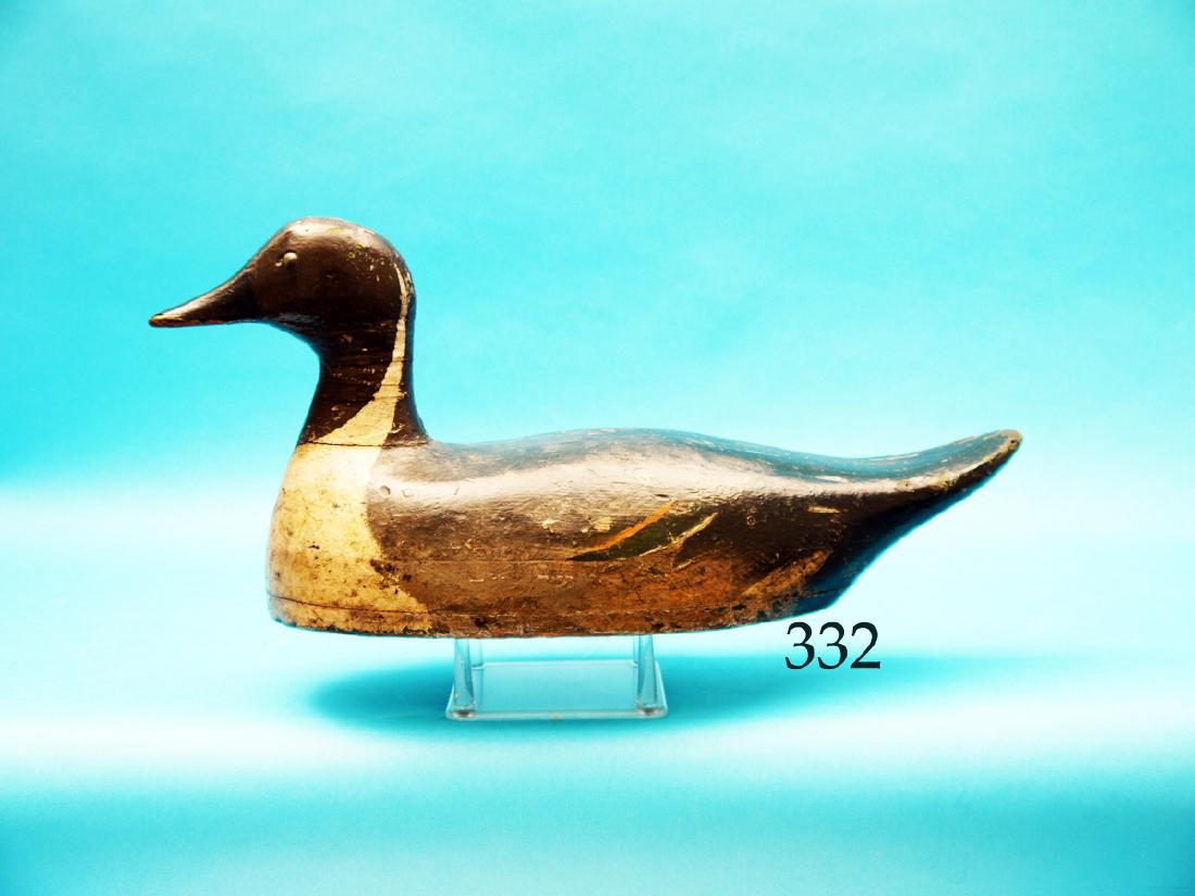 EARLY PINTAIL DRAKE, Lake St. Clair  region. Very old (1 of 1)