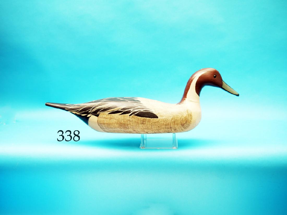 PINTAIL DRAKE by Grayson Chesser,  Jenkins Bridge, VA. (1 of 1)