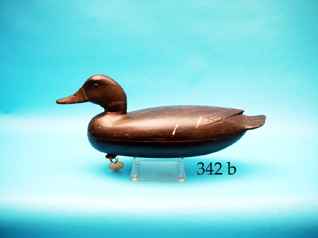 BLACK DUCK by John English, Florence,  NJ. Fine (1 of 1)