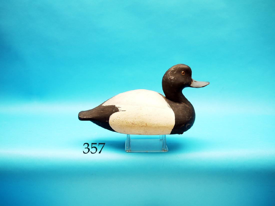 BLUEBILL DRAKE by William Cranmer,  Beach Haven, NJ. (1 of 1)