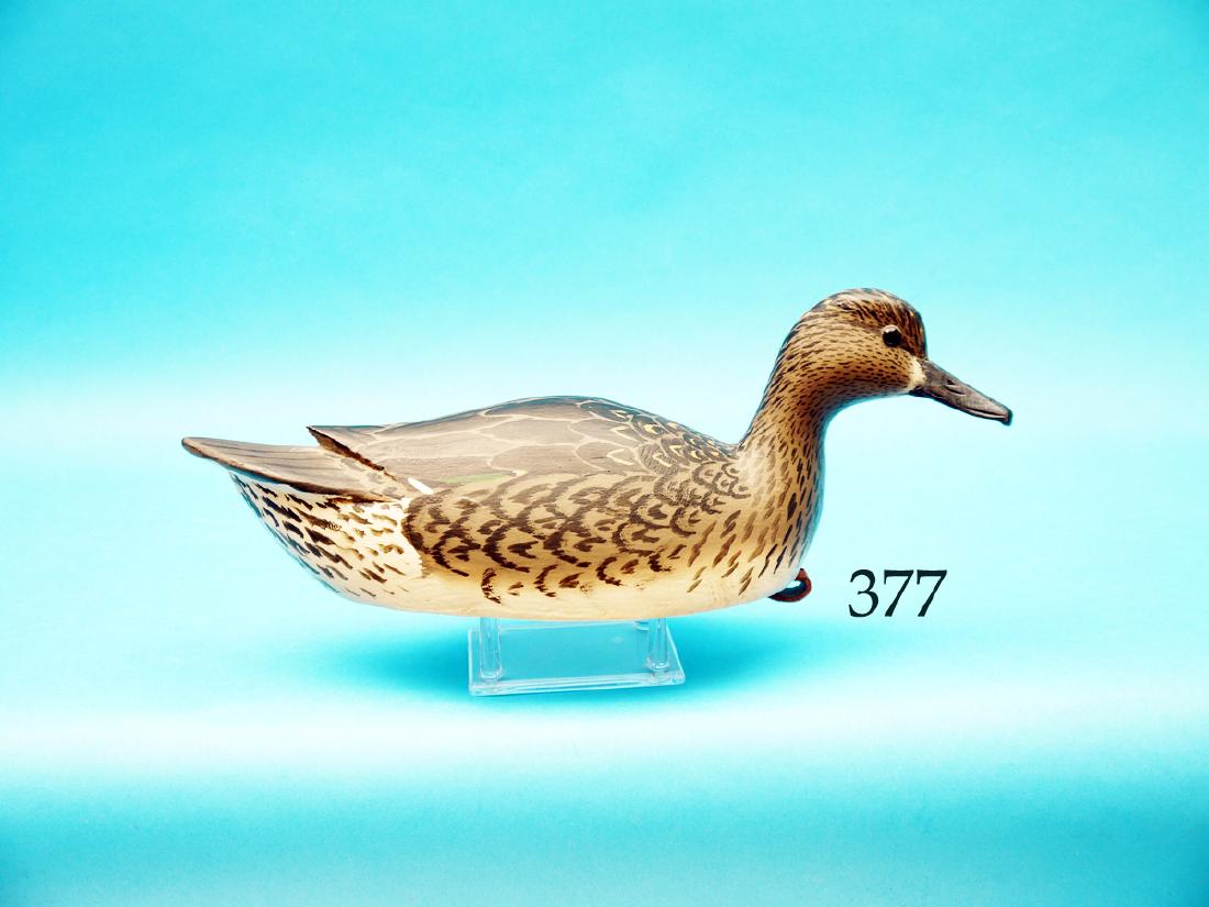 GREEN WING TEAL HEN by Grayson  Chesser, Jenkins (1 of 1)