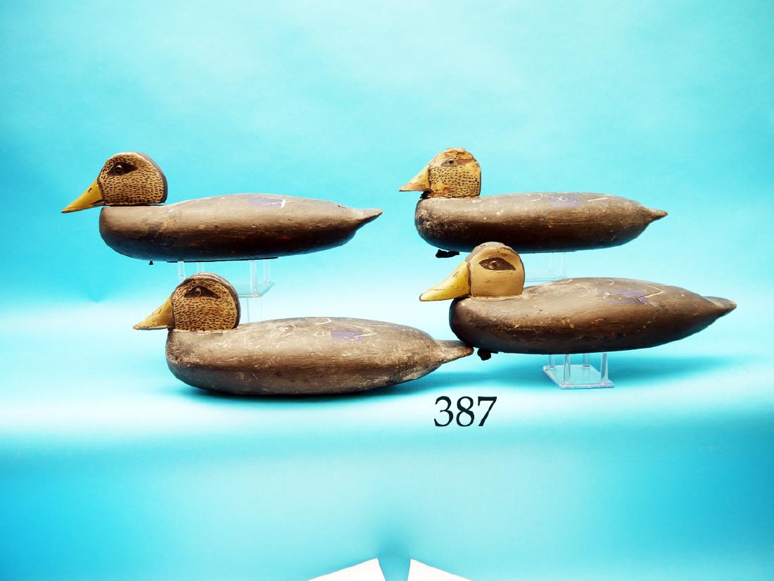 FOUR BLACK DUCKS, DELAWARE  RIVER. All in working paint (1 of 1)