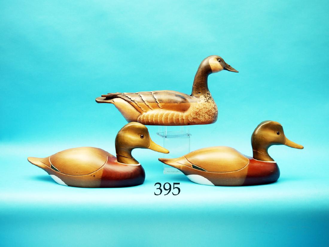 TWO MALLARD DRAKES AND A  ONE-THIRD SIZE CANADA GOOSE. (1 of 1)