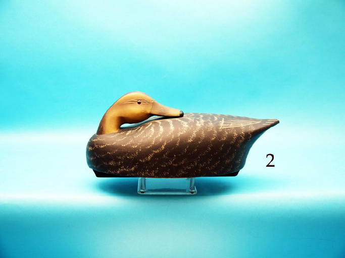 BLACK DUCK by the Wildfowler Decoy Co., Old Saybrook, Oct 22, 2017