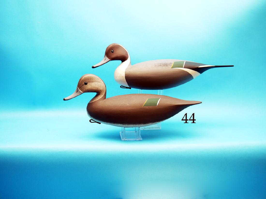 PAIR OF PINTAILS by Jamie Hand, Cape May Courthouse, (1 of 1)