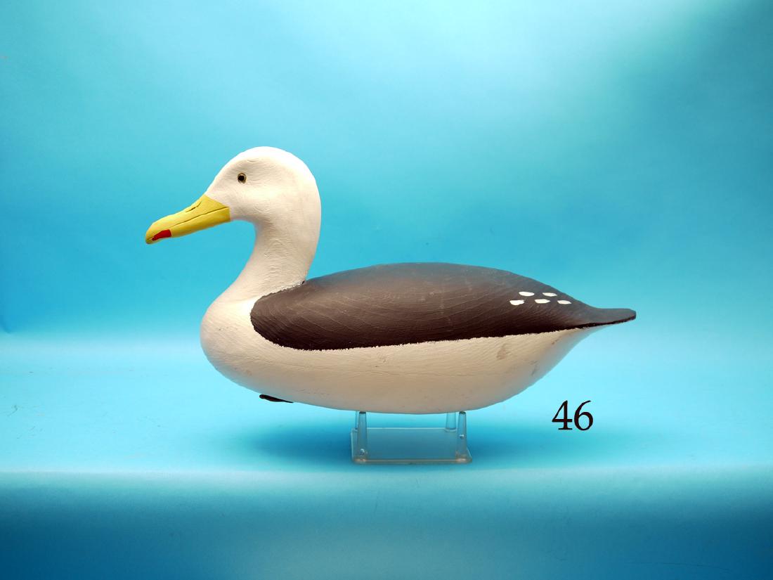 BLACK-BACK GULL by John Hamilton, Cedar Run, NJ. Very (1 of 1)