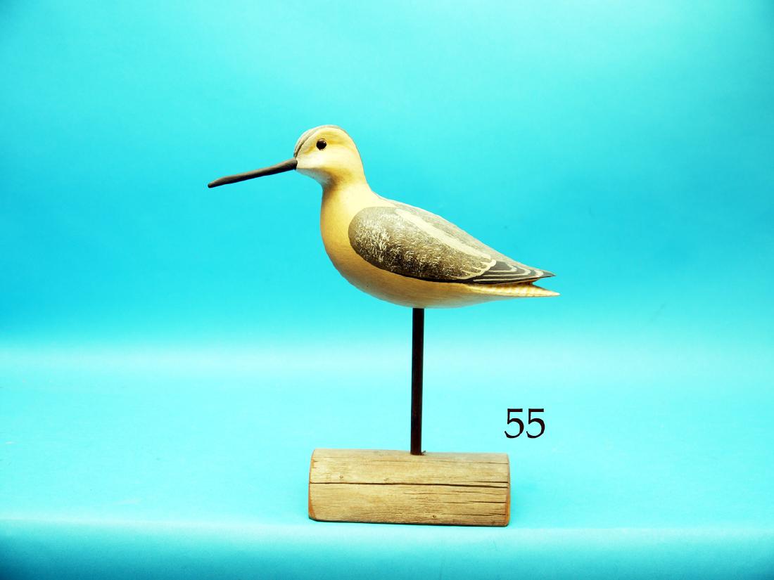 DAINTY SHOREBIRD, possibly a whimbrel, by Harry V. (1 of 1)