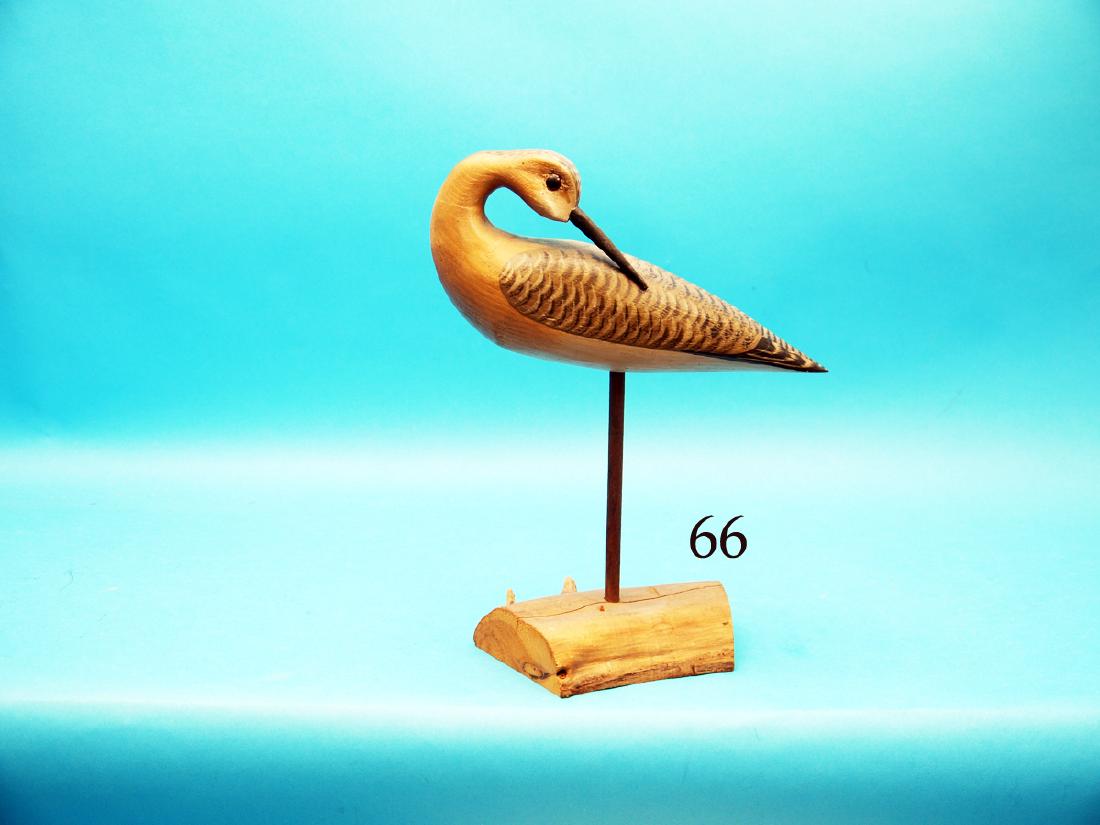 PREENING YELLOWLEG by Harry V. Shourds, Seaville, NJ. (1 of 1)