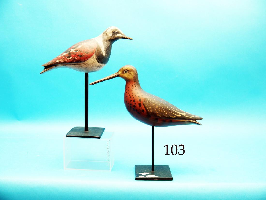 PLUMP RUDDY TURNSTONE AND ROBIN SNIPE by Dave Rhodes, (1 of 1)