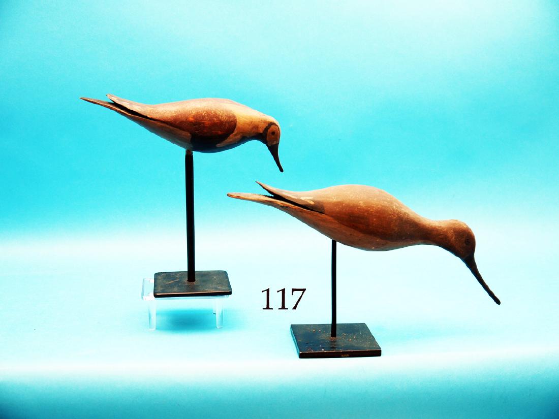 YELLOWLEG AND RUDDY TURNSTONE by Bruce Bieber, Cape May (1 of 1)