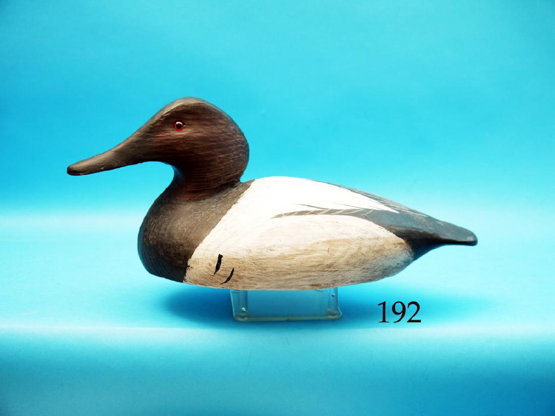 CANVASBACK DRAKE by Coot Garten. Good original paint (1 of 1)
