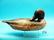 EARLY GOLDENEYE DRAKE by James Halstead Brown, Noank,