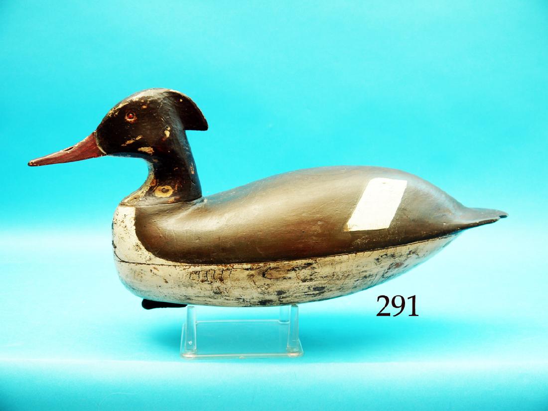 VERY EARLY MERGANSER HEN by Rhodes Truex, Atlantic (1 of 1)