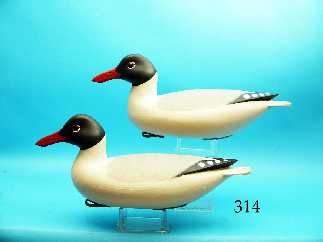 PAIR OF TERNS by Fredrick C. Brown, Jr., Pt. Pleasant, (1 of 1)