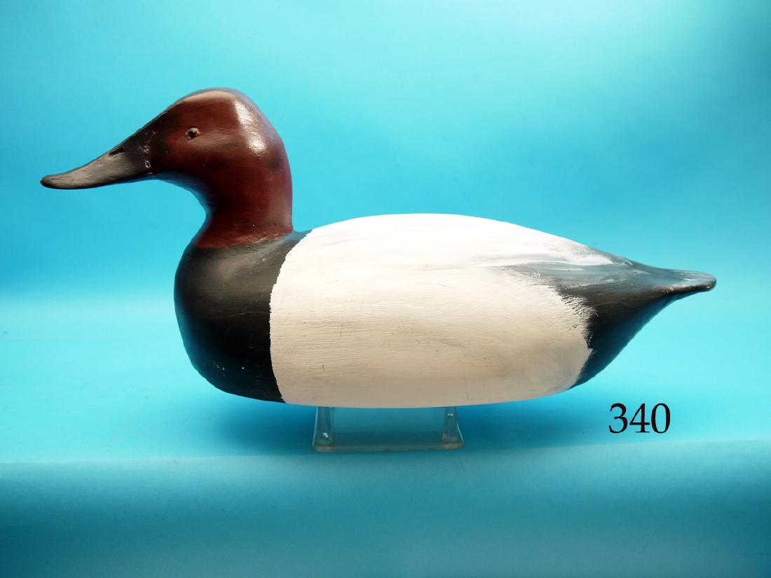CANVASBACK DRAKE by William Goenne, King City, CA.: CANVASBACK DRAKE by William Goenne, King City, CA. Oversized model in very good original paint and unused condition. Deep ice groove. Retains bottom keel. Branded WRG on bottom