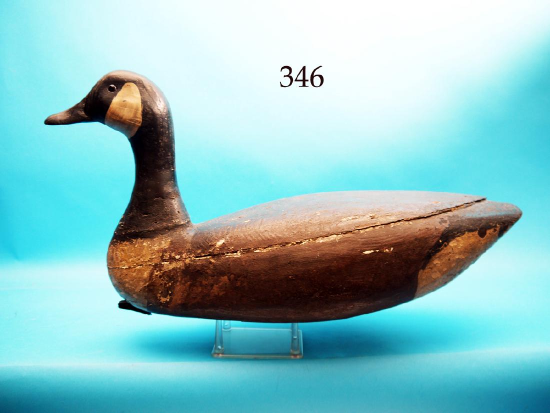 VERY EARLY CANADA GOOSE, Barnegat Bay, NJ. Very old (1 of 1)