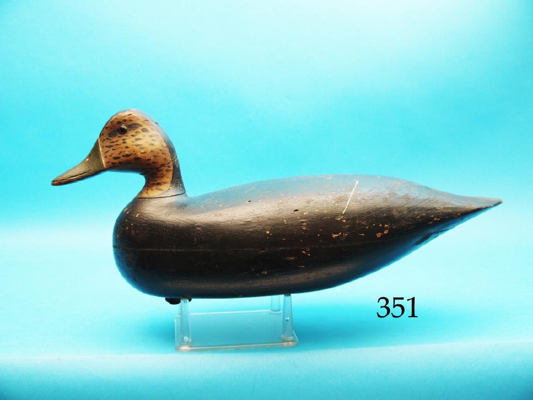 BLACK DUCK by Harry M. Shourds, Ocean City, NJ, circa (1 of 1)