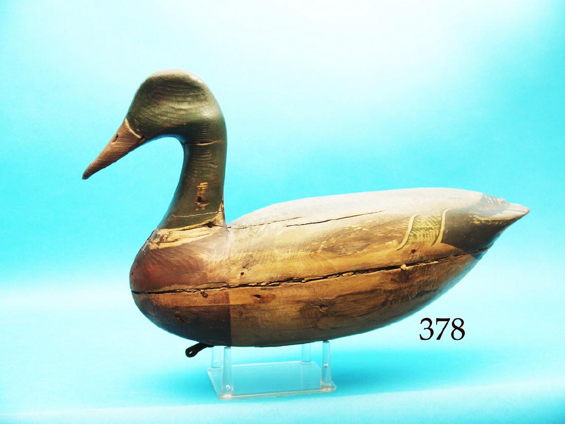 OVERSIZED MALLARD DRAKE, New Jersey. Weathered original (1 of 1)