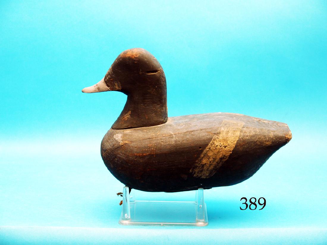 VERY EARLY BLUEBILL HEN, possibly Osbornville, NJ. (1 of 1)