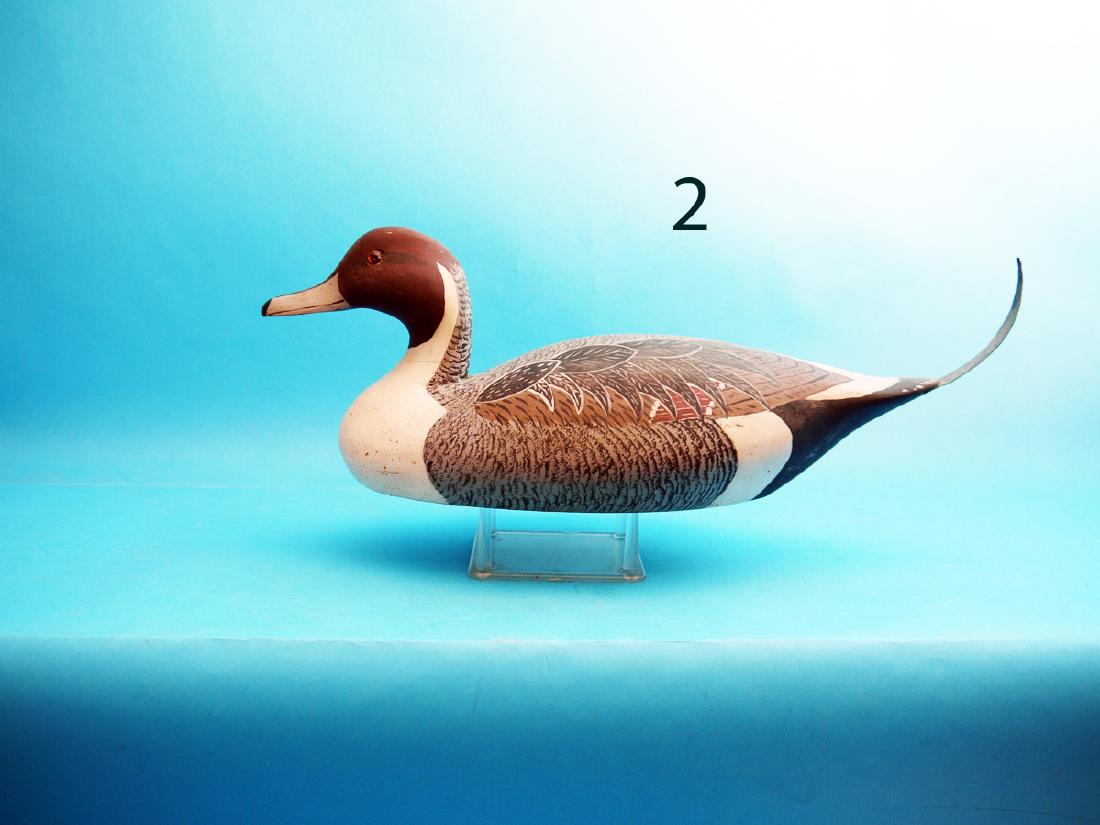 DECORATIVE PINTAIL DRAKE by William Keim, Neptune, NJ. (1 of 1)