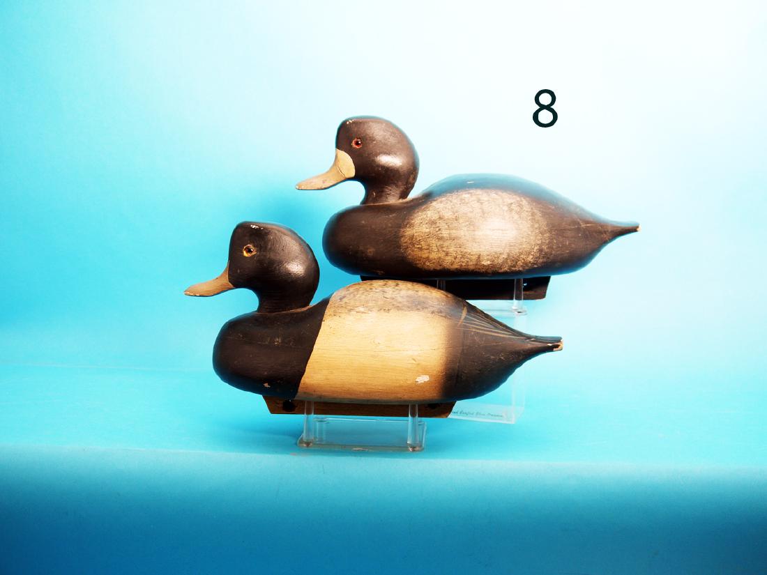 PAIR OF BLUE BILLS by the Barnegat Bay Decoy Co., Pt. (1 of 1)